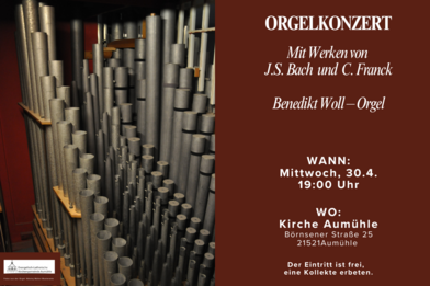 Copyright: Carmen Christensen / Fotos aus der Orgel: Nikolaj Müller-Wusterwitz