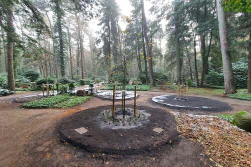 neues Grabfeld auf dem Aumühler-Waldfriedhof, der Obsthain