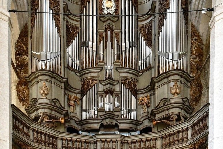 Die Orgel in St. Jakobi ist eine von drei Stationen beim Orgelstudientag Stralsund 