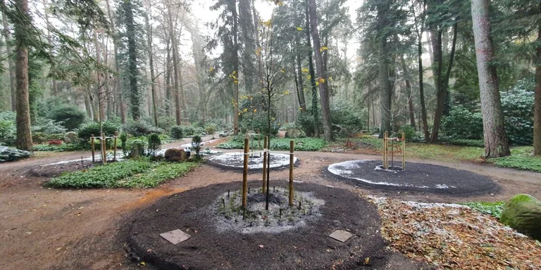 neues Grabfeld auf dem Aumühler-Waldfriedhof, der Obsthain